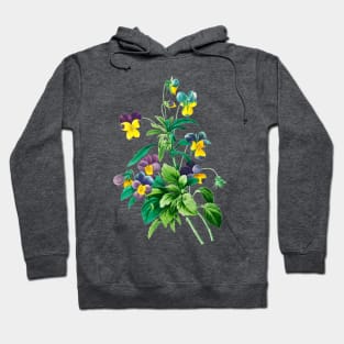 Viola - Botanical Illustration Hoodie